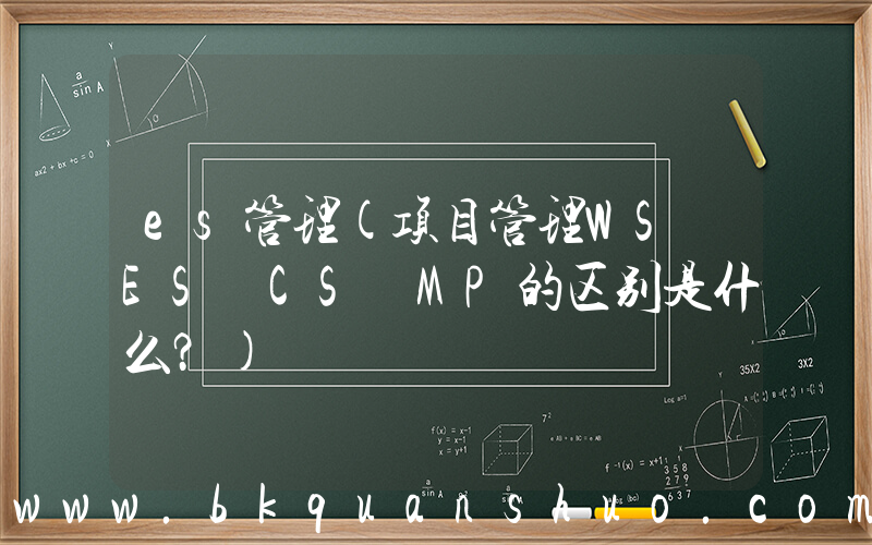 es管理(项目管理WS ES CS MP的区别是什么？)